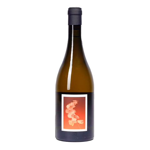 Sven Joschke 'L'Ambre' Skin Contact Amber 2025